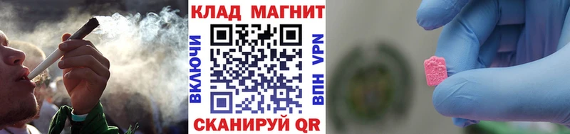  COCAIN Новохопёрск