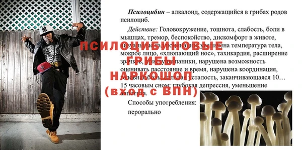 бошки Козельск