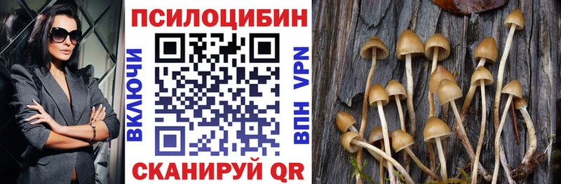 Купить  Новохопёрск  Псилоцибиновые грибы прущие грибы 